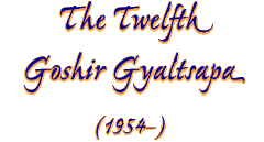 The Twelfth Goshir Gyaltsapa (1954- )